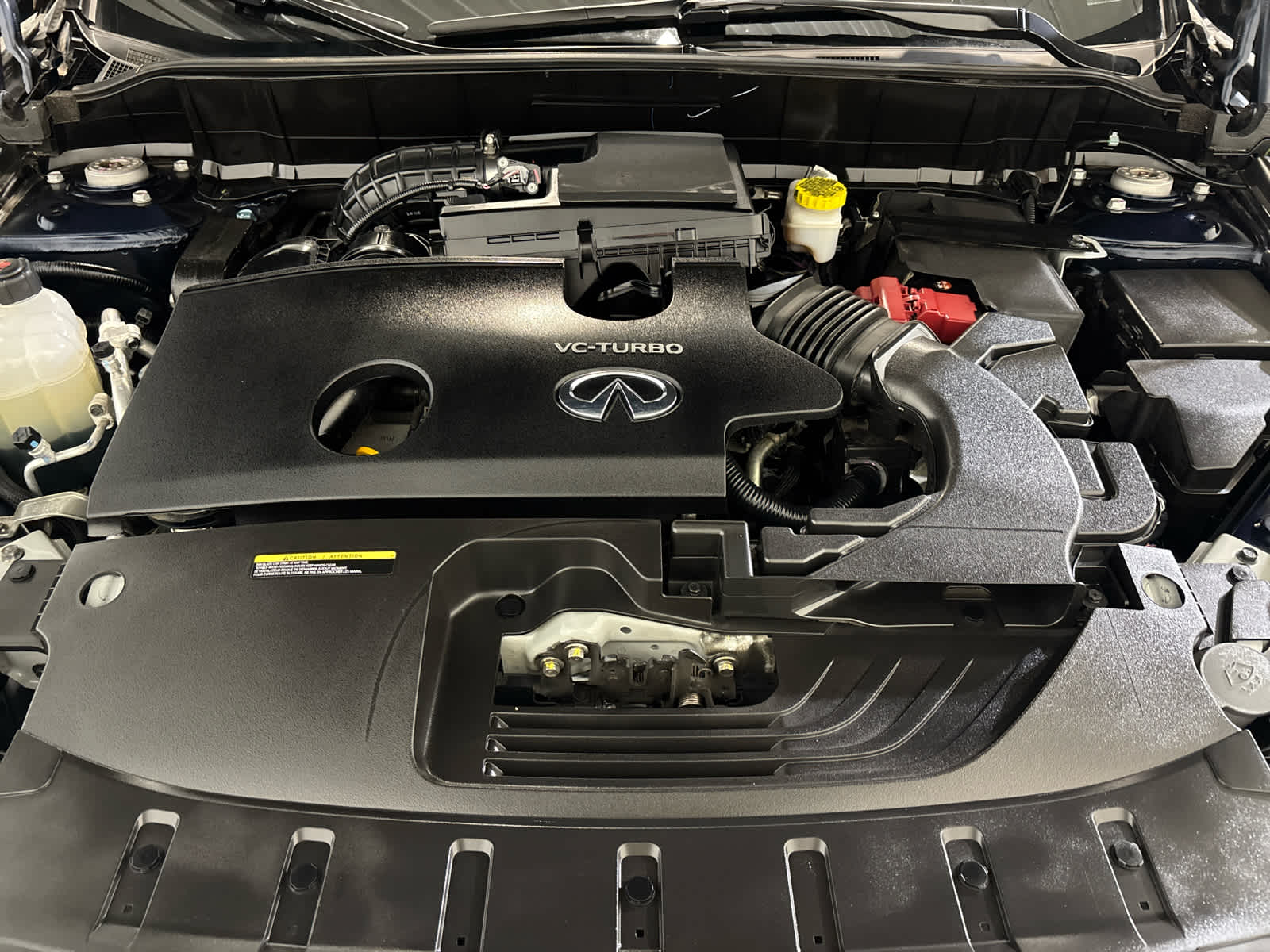 2023 INFINITI QX50 AUTOGRAPH
