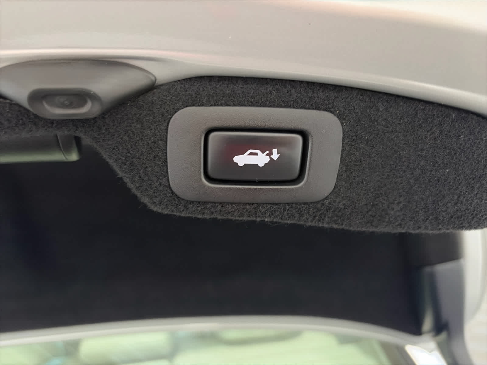 2010 Lexus LS 460 