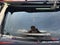 2013 MINI Hardtop John Cooper Works